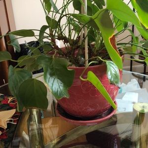 Meet your Posher, Cherrille